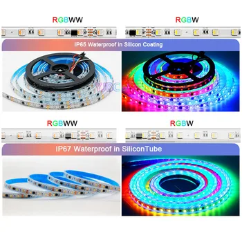 5m 12V 24V RGBW RGBWW 4 1 LED juostelės juostelės naudojamos šviesos WS1814A SMD 5050 RGB+Balta/Šiltai balta šviesos juosta Išorės IC